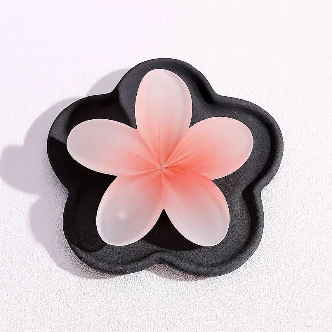 accessory Заколка для волосся 